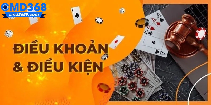 Giới thiệu về điều khoản điều kiện tại CMD368