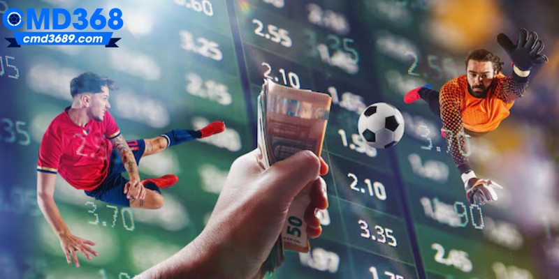 Một số câu hỏi tỷ lệ cược bóng đá trực tuyến thường gặp