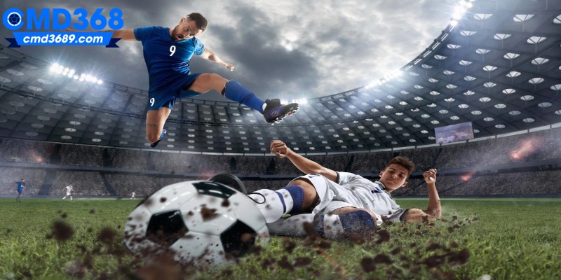 Quyền lợi mà hội viên nhận được khi tải app CMD368