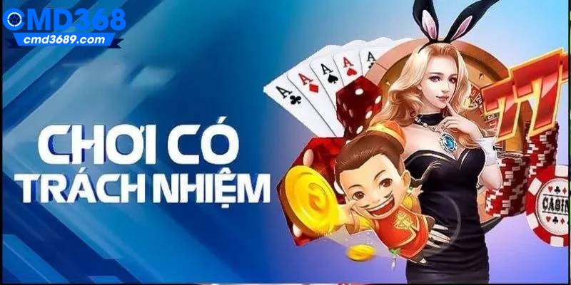 Sơ lược về lối chơi có trách nhiệm